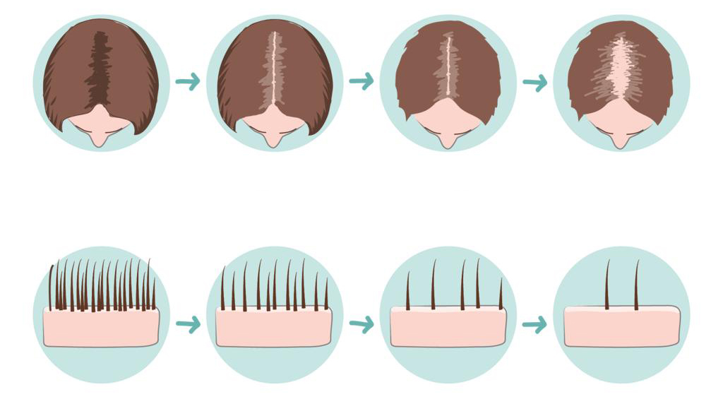 a6ada4c7-a274-4177-94fc-c831c1c30a8a